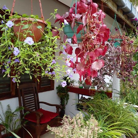 Gem Villa Weligama Kültér fotó