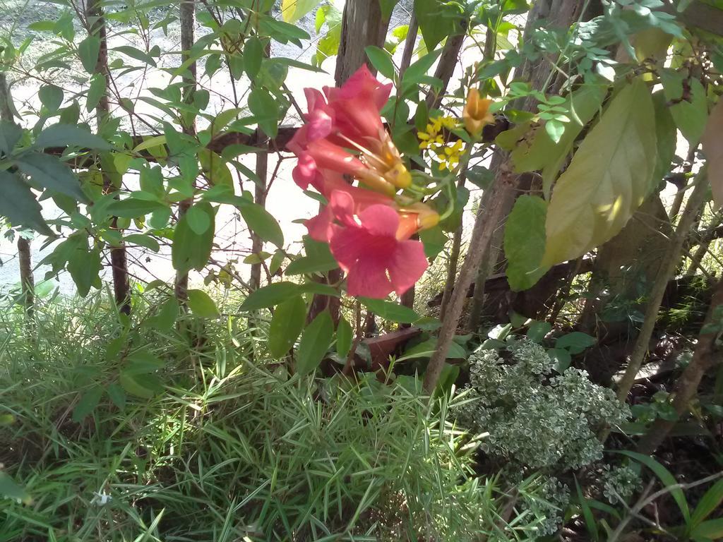 Gem Villa Weligama Kültér fotó